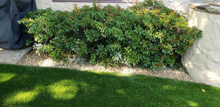 Artificial Turf Installation for Backyard | The Perfect Lawn Dallas, Texas