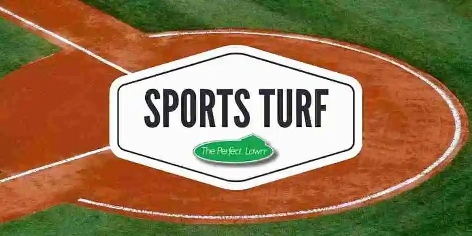 Synthetic Grass Sports Field Sports Turf, artificial putting green