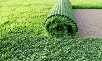 Residential turf, perfect lawn services