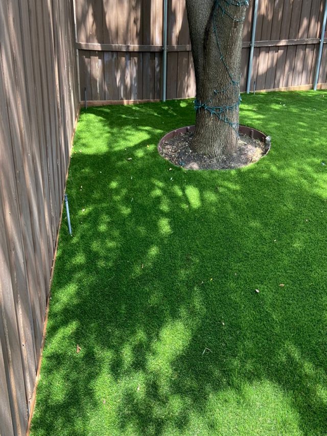 Professional Landscape Design with Artificial Grass Texas